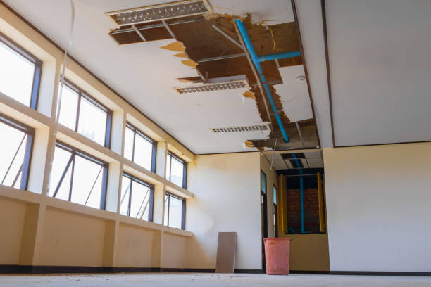 Best Flooded house restoration  in Towaoc, CO