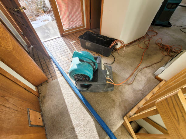 Best Professional water damage repair  in Towaoc, CO
