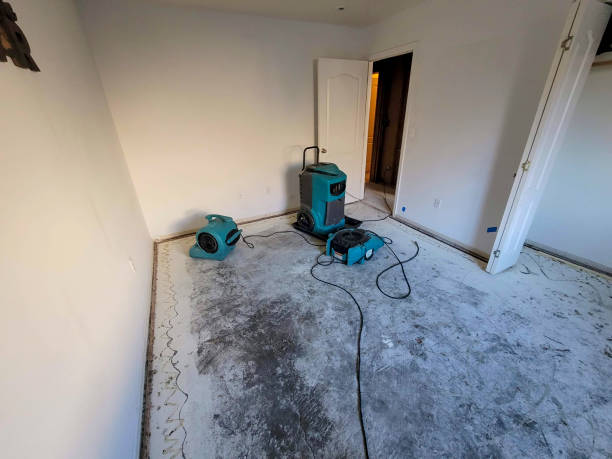 Best Local water damage restoration  in Towaoc, CO