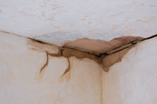 Best 24/7 water damage repair  in Towaoc, CO