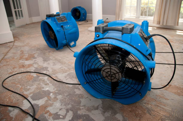Best 24/7 water damage repair  in Towaoc, CO