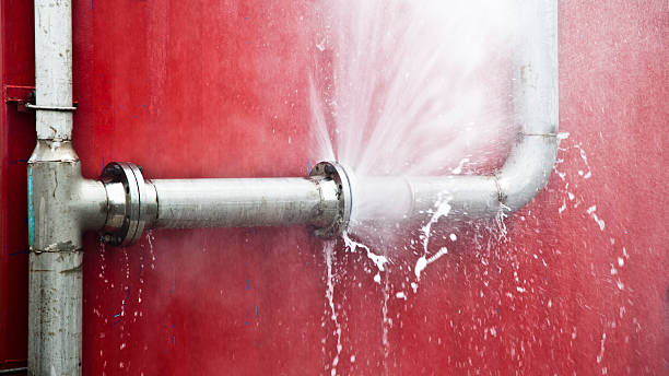 Best Mold removal after water damage  in Towaoc, CO